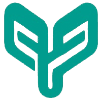 Yumurtaci IT Services